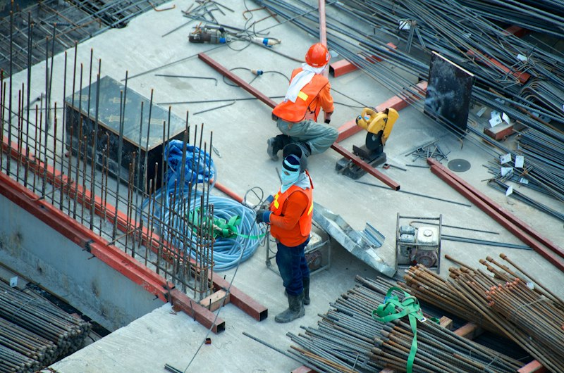 Tradie Bold